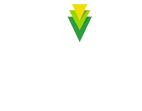VIVE Sustainable Supply Programme